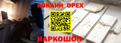 спайс Кингисепп