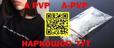 спайс Кингисепп