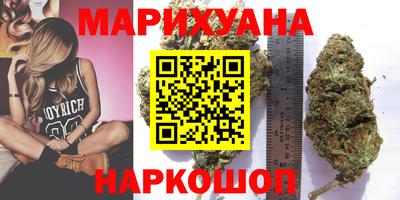 спайс Кингисепп