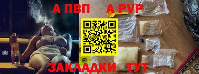 спайс Кингисепп