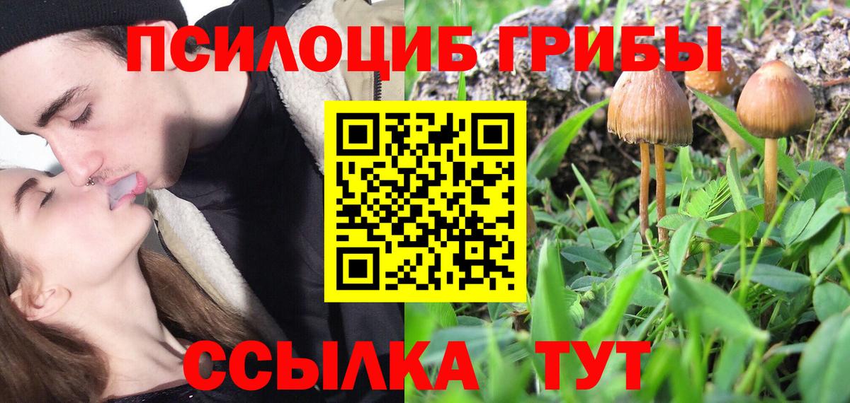 купить  сайты  Вход с VPN  Коломна  Псилоцибиновые грибы прущие грибы 